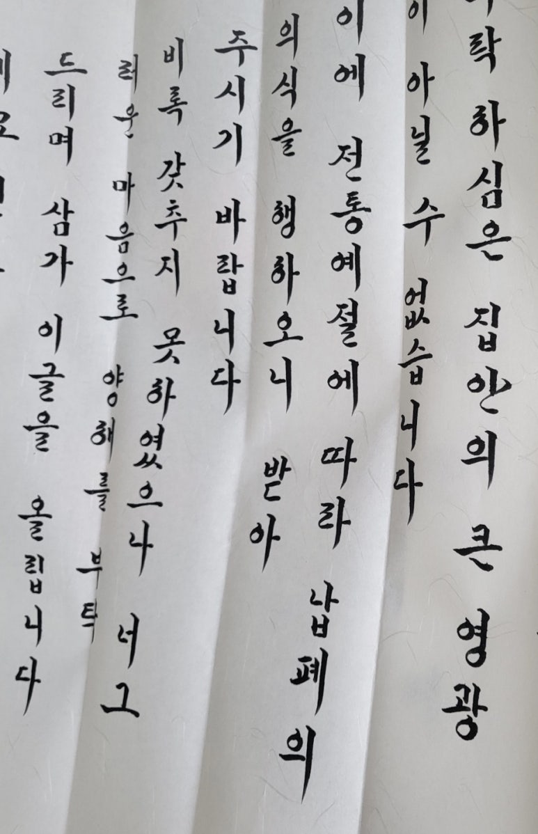 보자기더무드 이미지