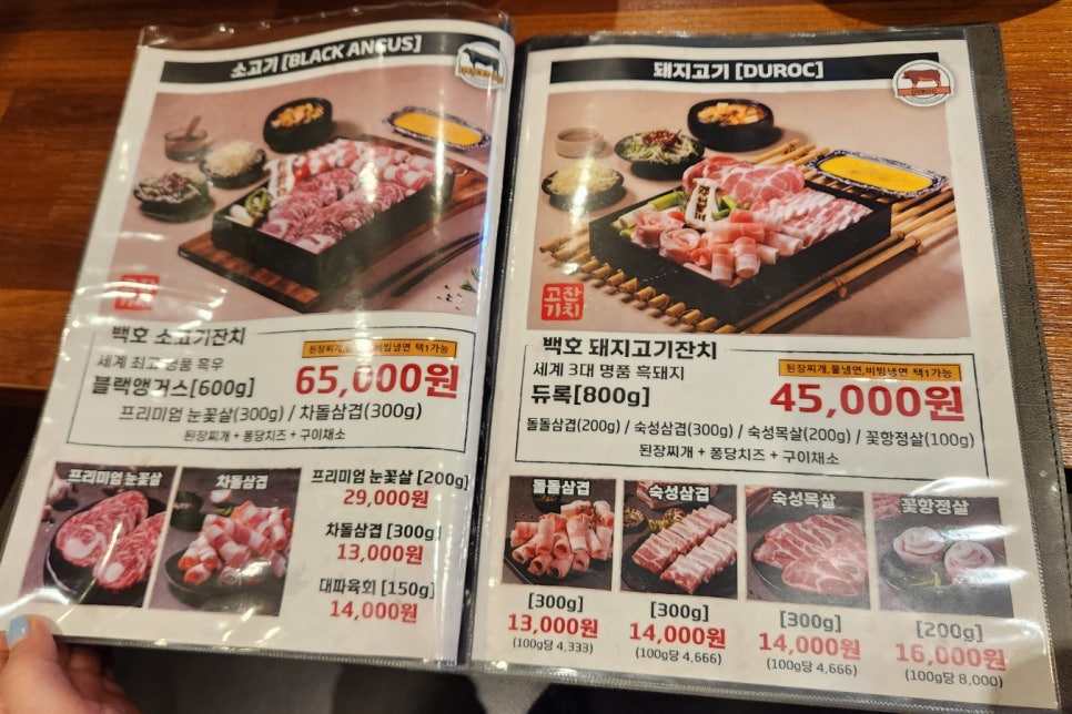 백호익스프레스 이미지