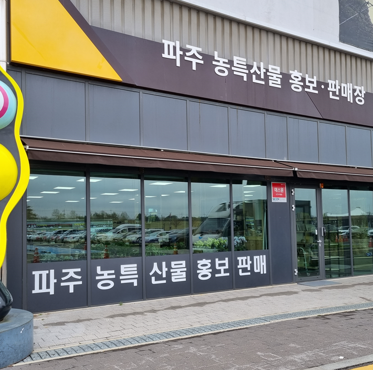 콩사임당 이미지