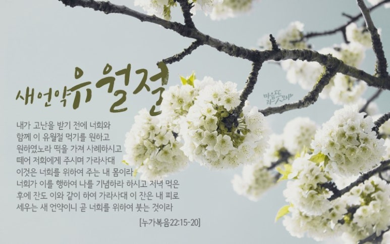 법인백성 이미지