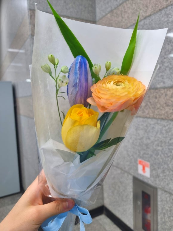 라프리마베라:봄이오다 이미지