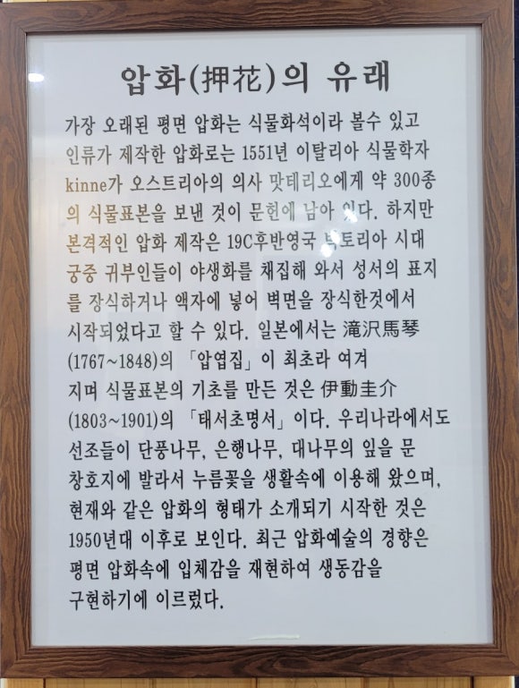 꽃과사는여인 이미지