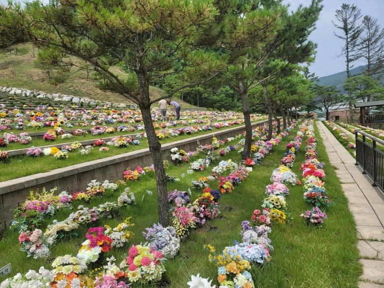 기독교로뎀 이미지