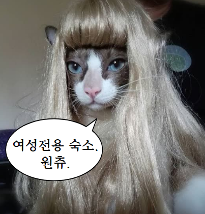 도도하우스1 이미지