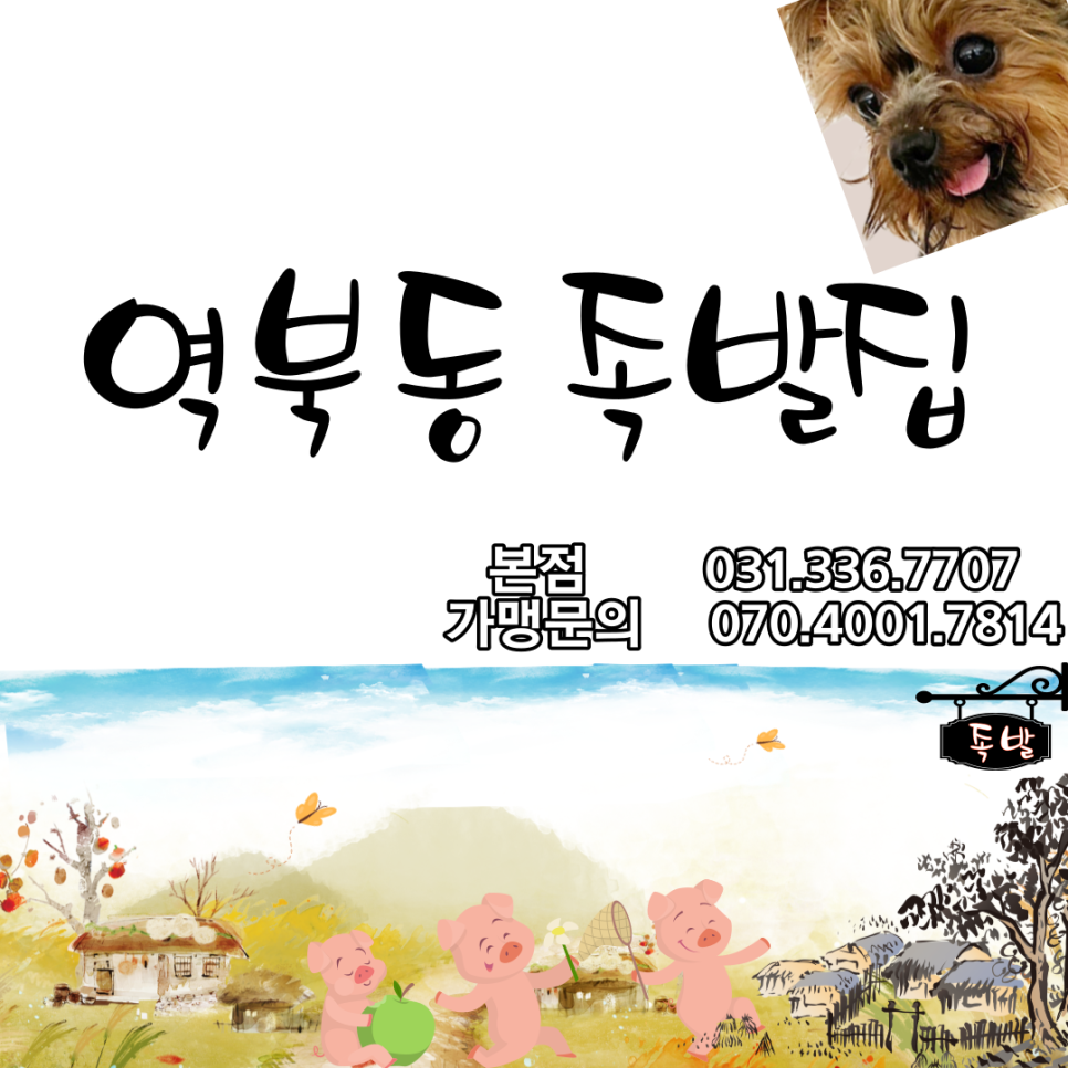 역북동족발집 이미지