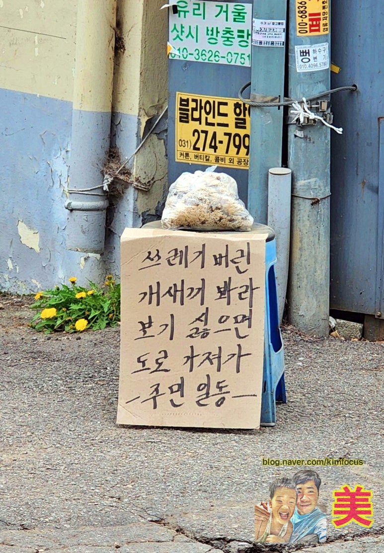 강남밀밥 이미지