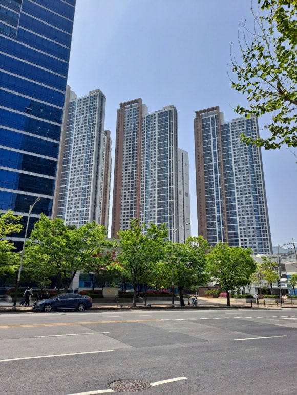 돔박;달 이미지