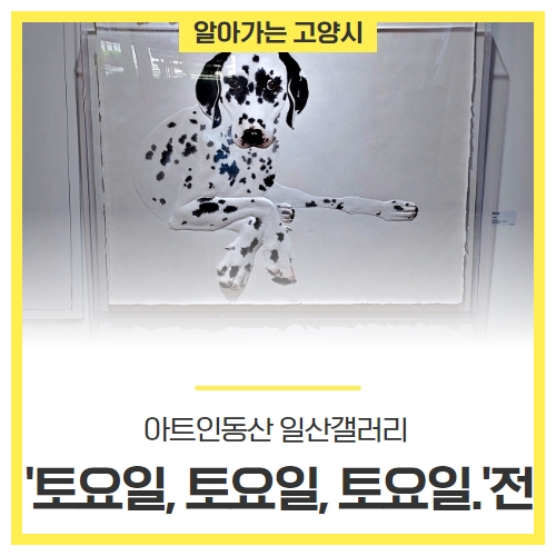 아트인동산 이미지