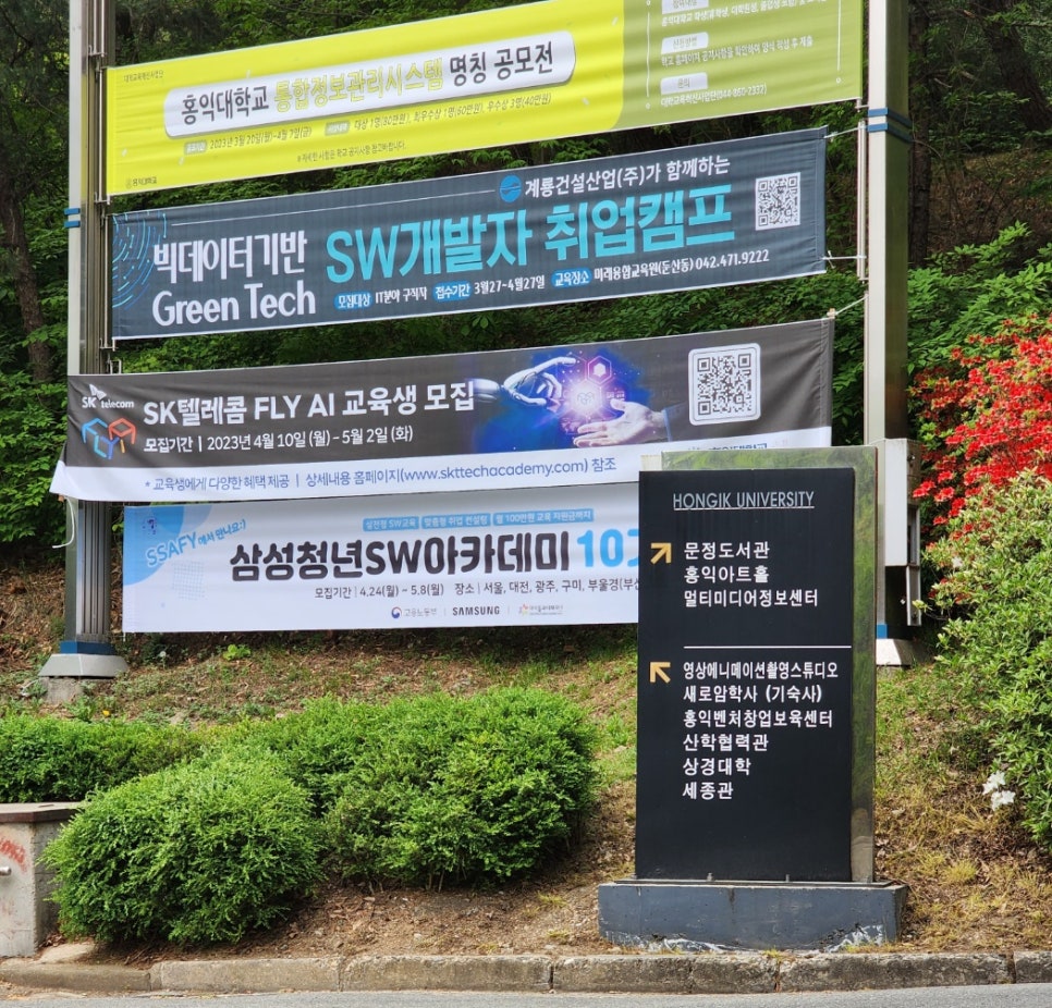 세종홍익아카데미 이미지