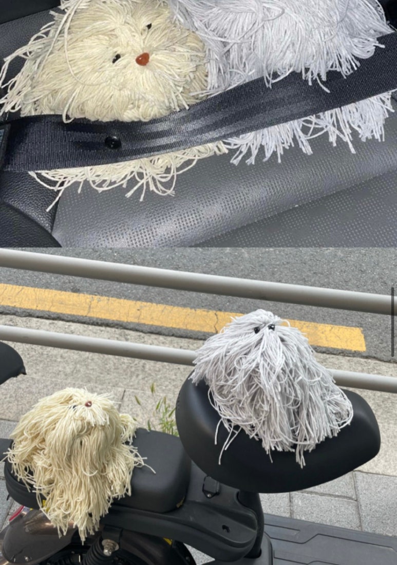 퍼지머그 이미지
