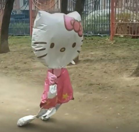 크로스핏온미 이미지