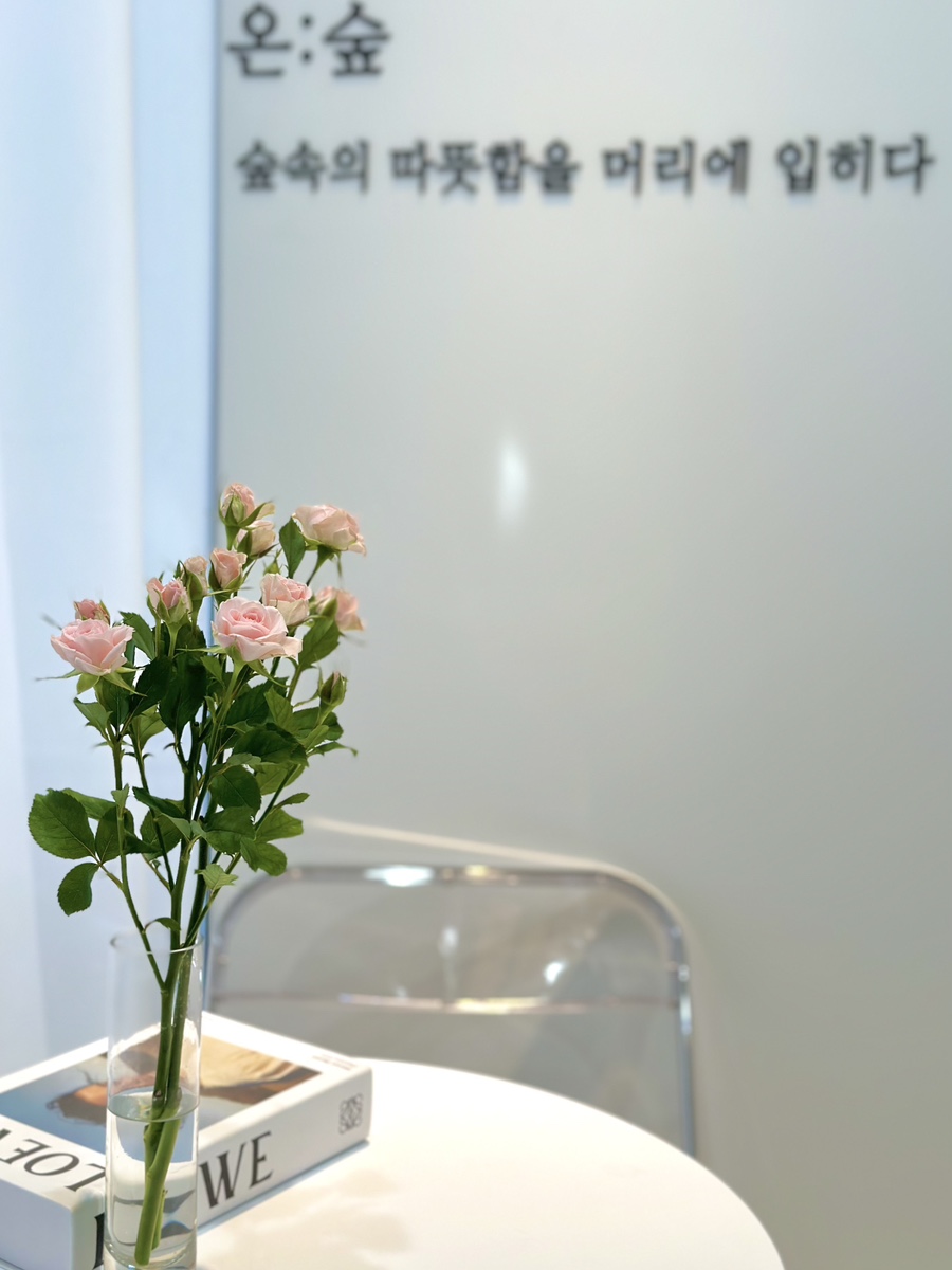 (주)단디온 이미지