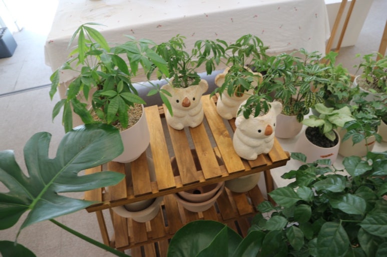 오늘도빛날꽃 이미지