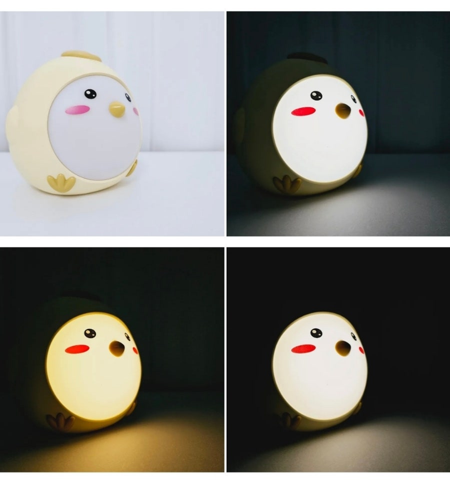 락톡마켓 이미지