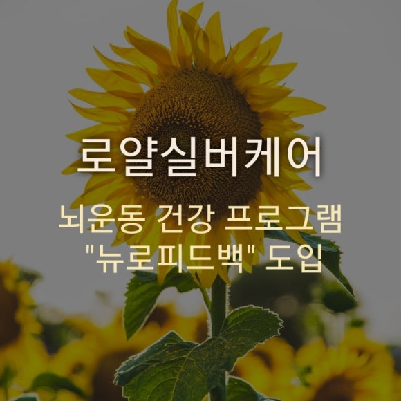로얄실버케어 이미지