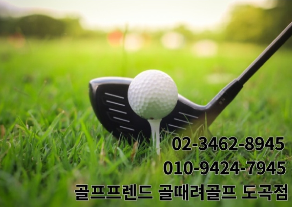 서초핑 이미지