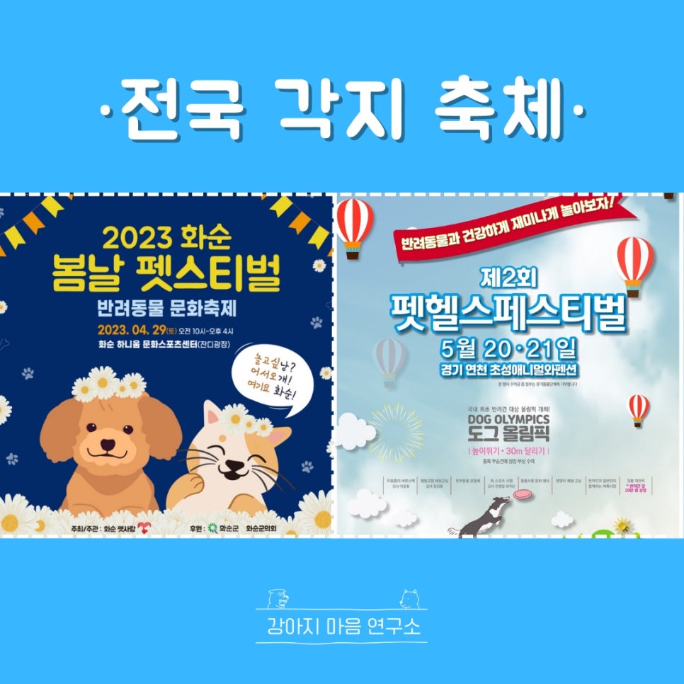 초성애니멀와 이미지