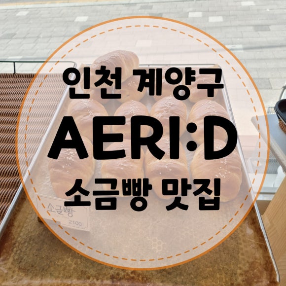 애리AERI:D 이미지