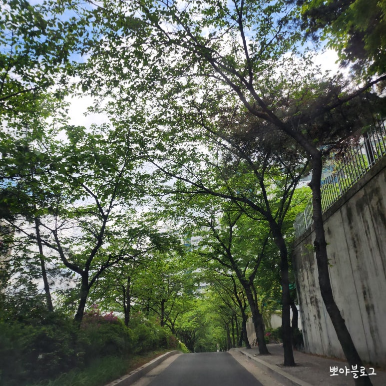 읍천리382 신림점 이미지
