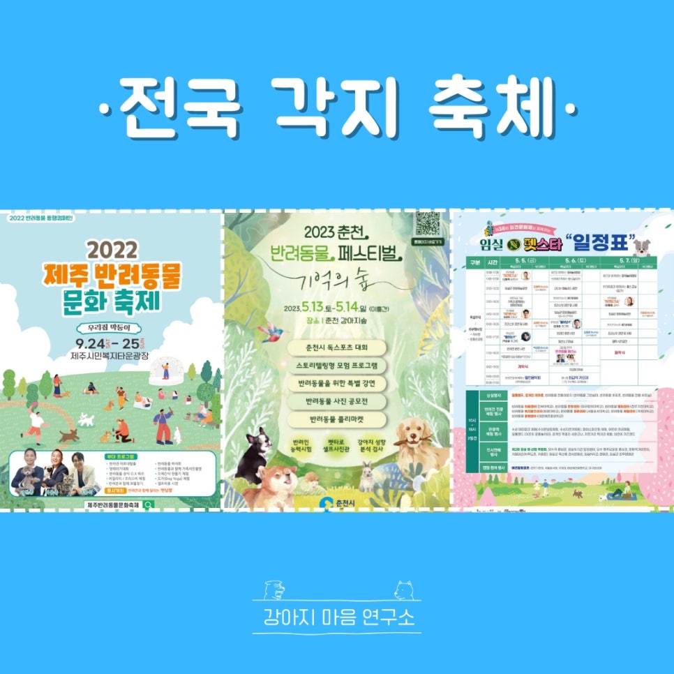 초성애니멀와 이미지
