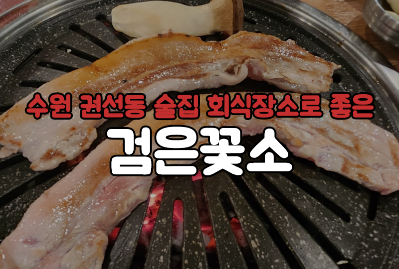 검은꽃소 이미지
