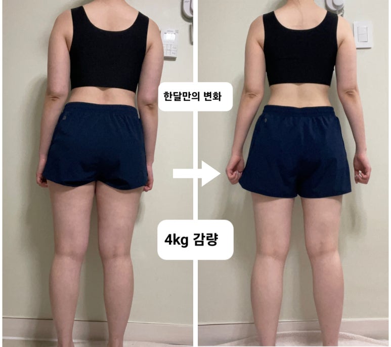 피트니스다이브 이미지