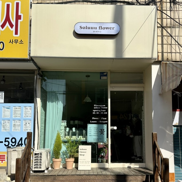 솔루플라워 이미지