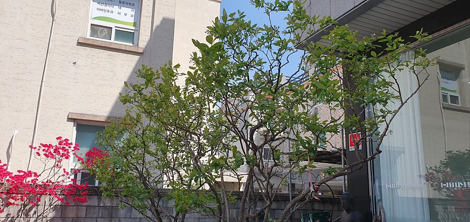 한샘리하우스서현 이미지