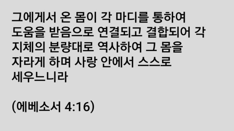 에클레시아 이미지
