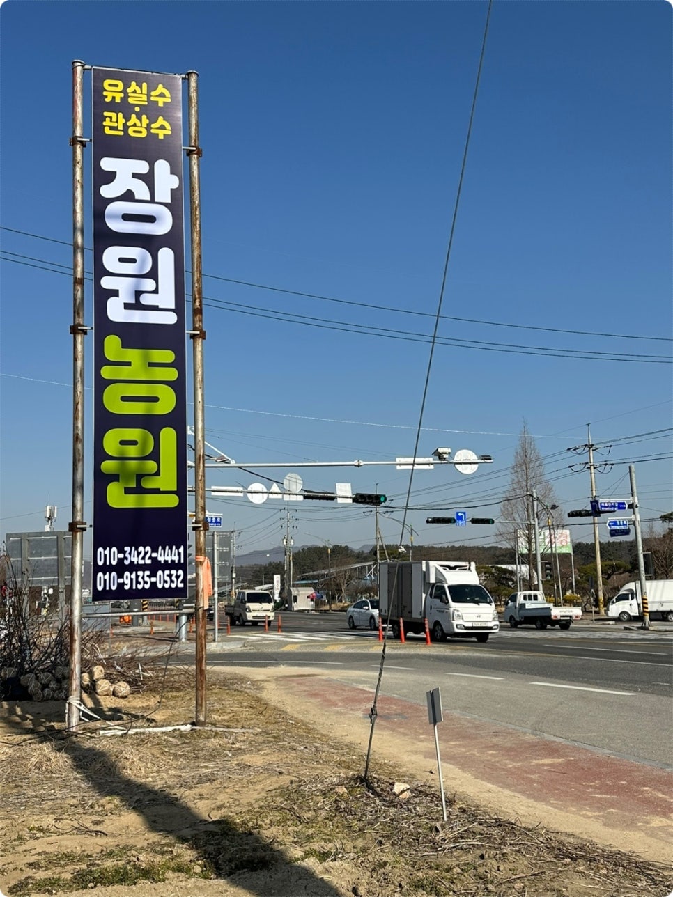 장원농원 이미지