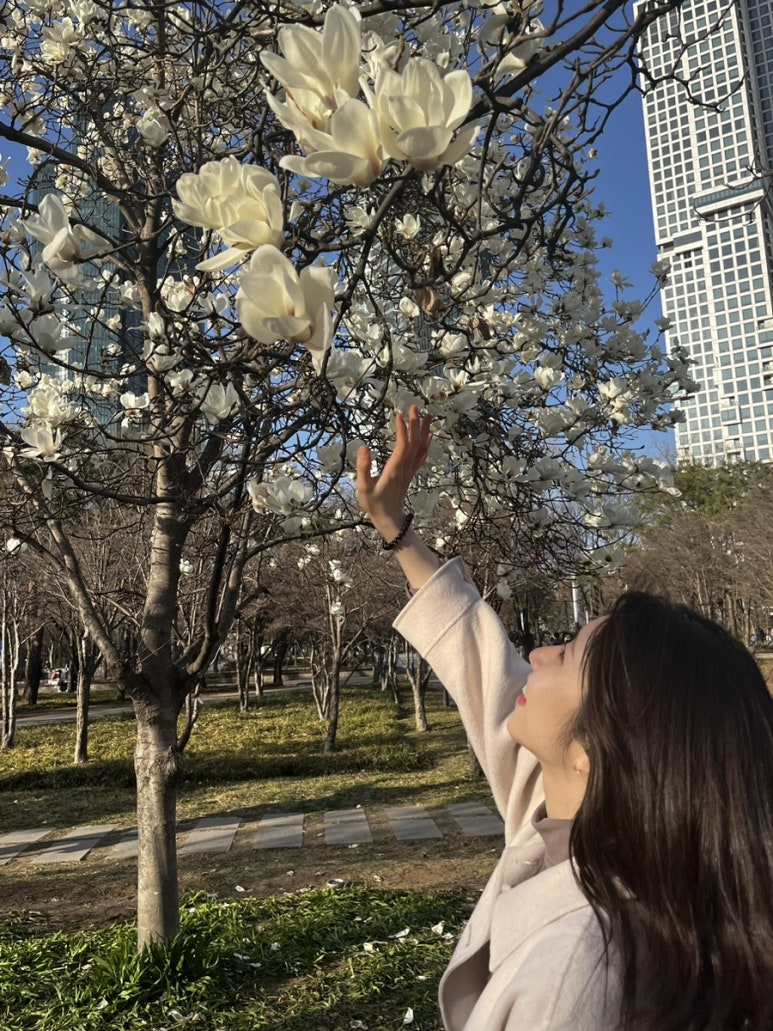 목련슈퍼 이미지