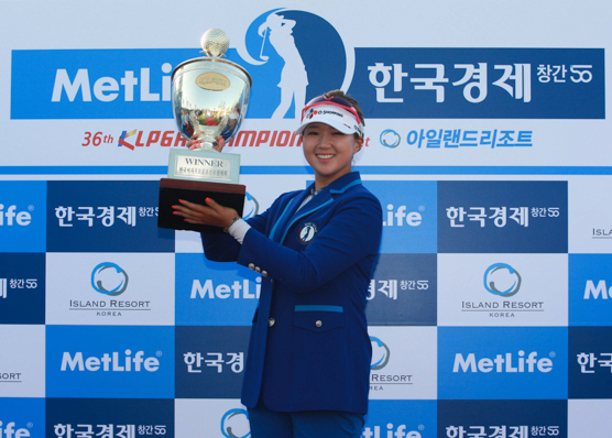 더에프앤씨 이미지