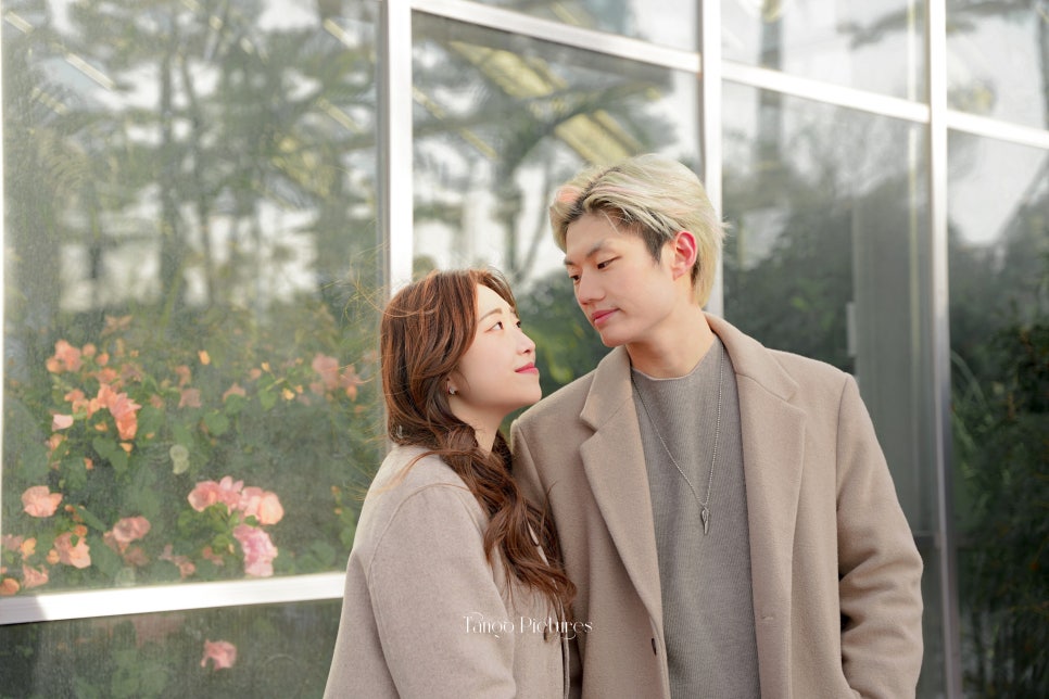 탱고픽처스 이미지