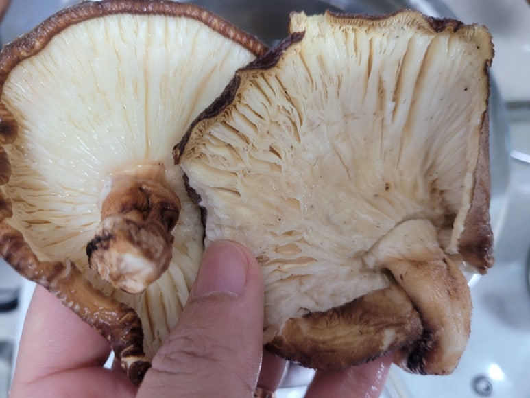 동산영농조합 이미지