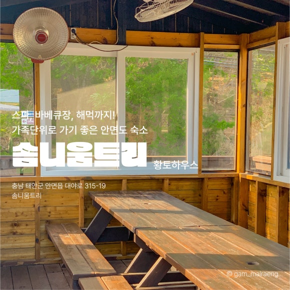 솜니움트리 이미지