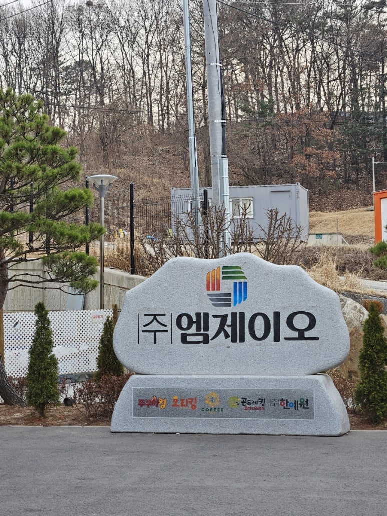 엠제이오 이미지