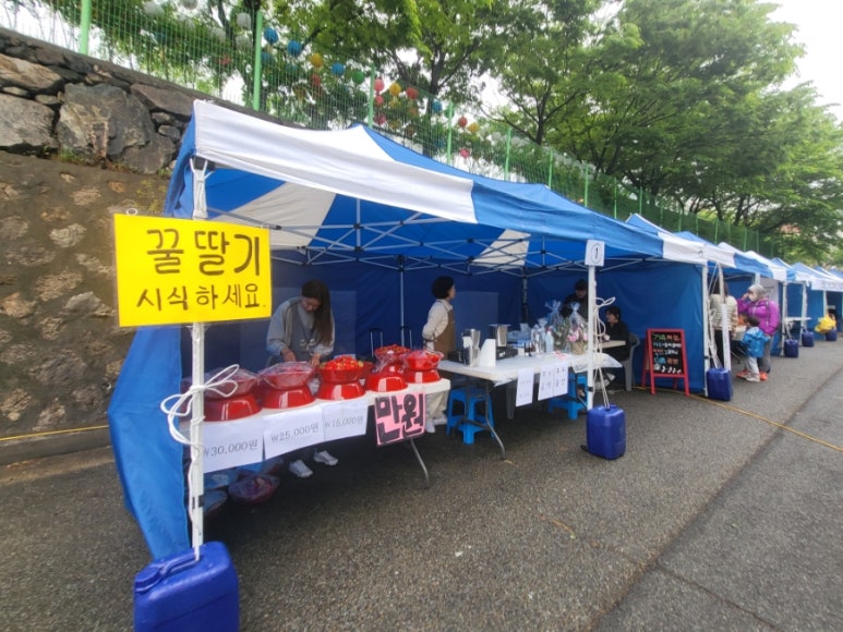 도미솔창의연구소 이미지