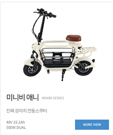 글라이던 이미지