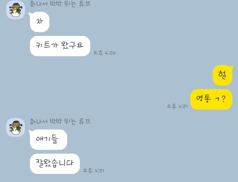 노리밋 이미지