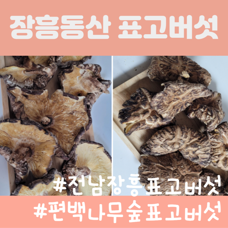 장흥버섯 영농법인 이미지