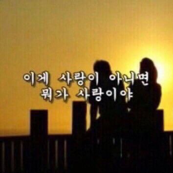 아우첼라플라워 이미지