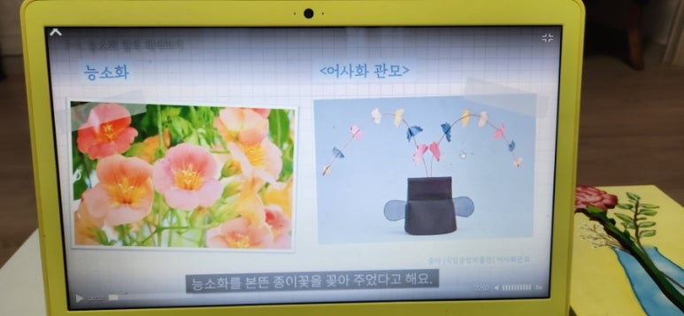 우리화 이미지