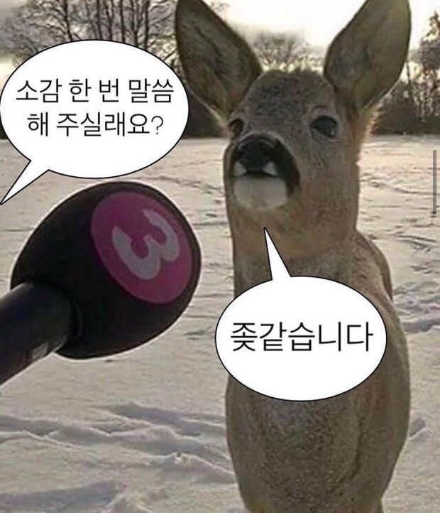 마음공조 이미지