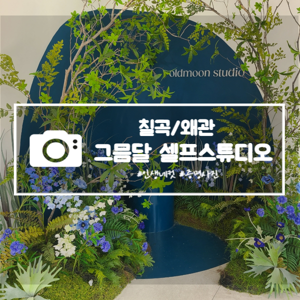 그믐달셀프스튜디오왜관점 이미지