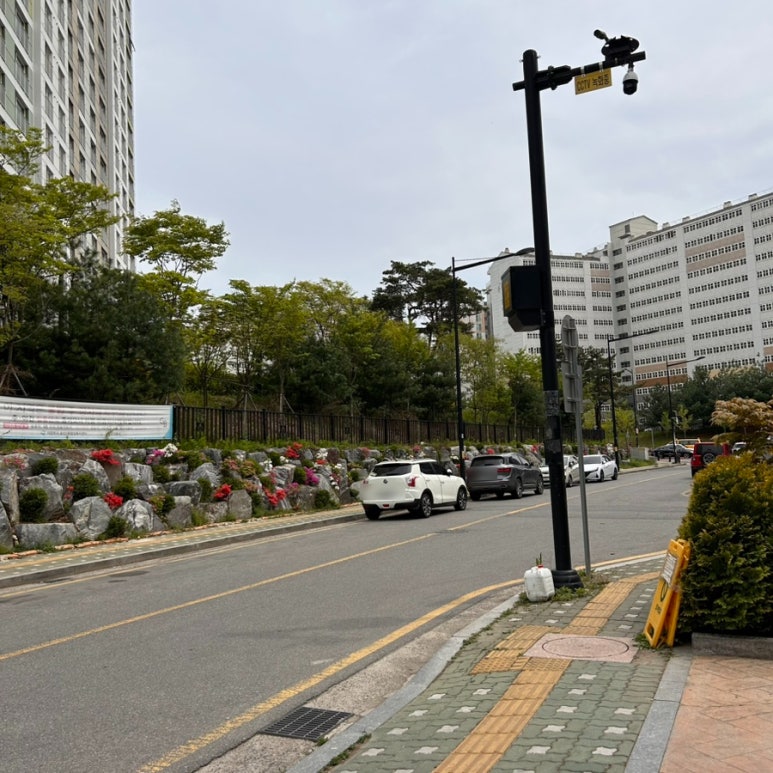 언트네일 이미지