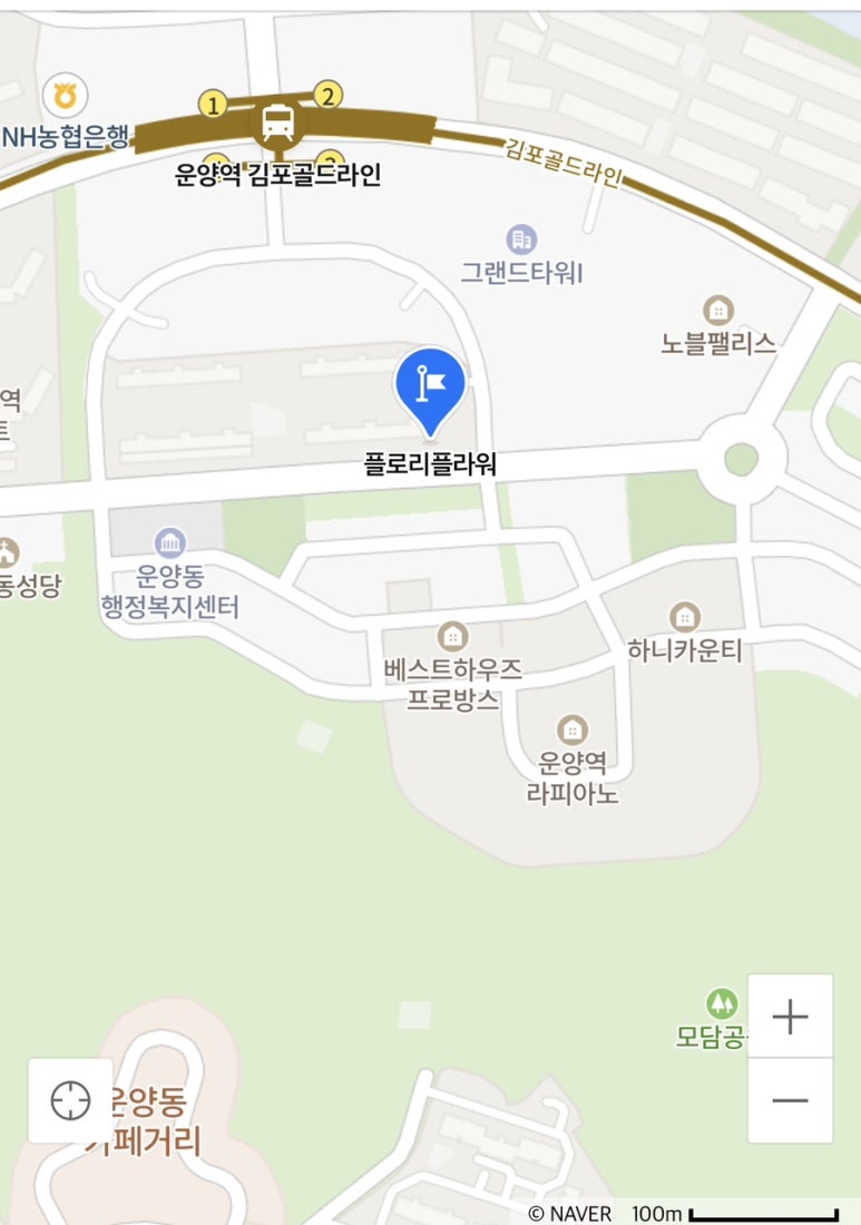 플로리플라워 이미지