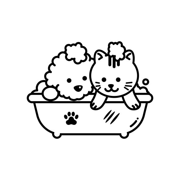 사진 9