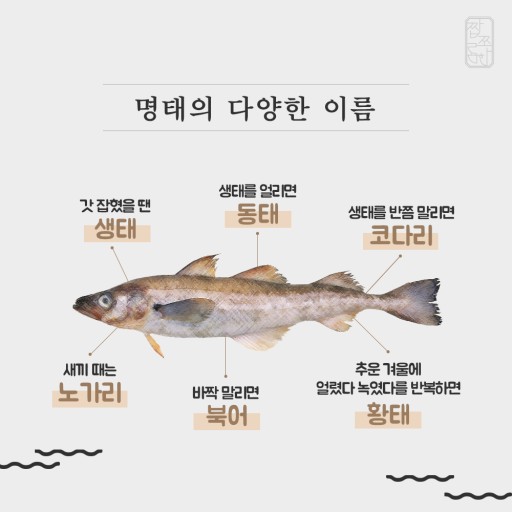 장터진땡이 이미지