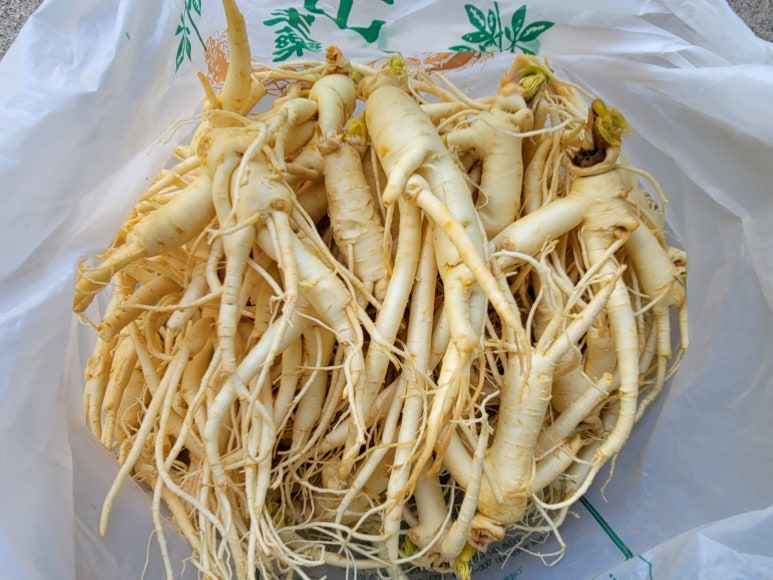강화수삼센타 이미지