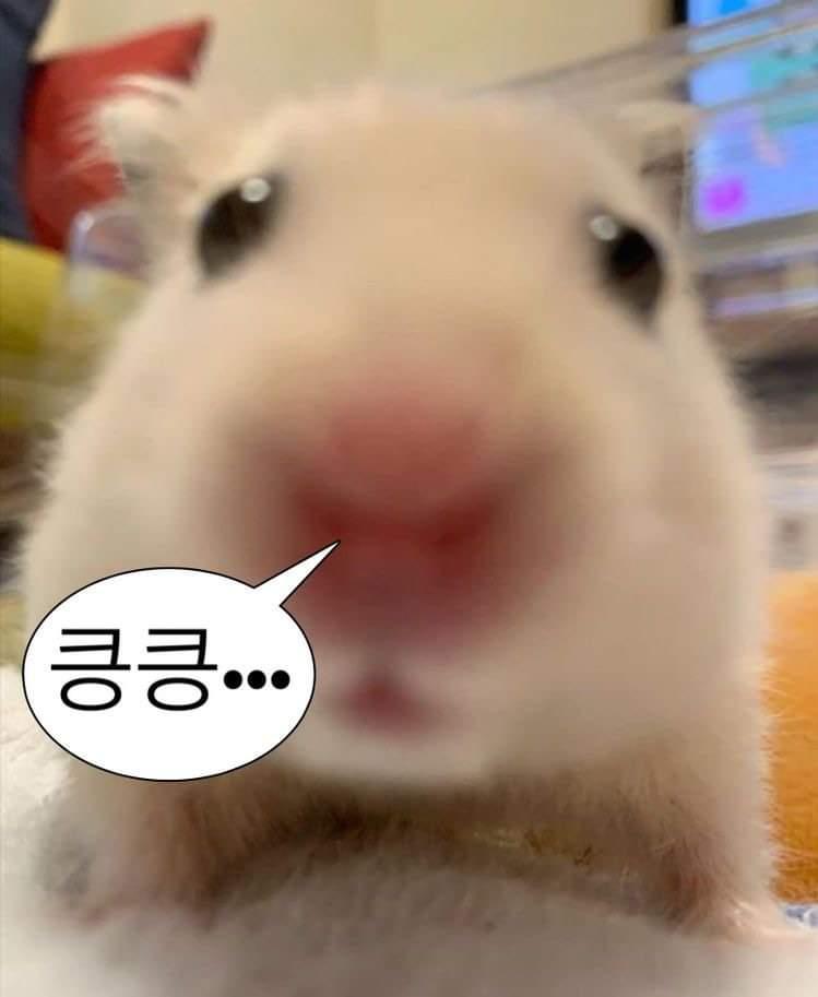 문월:달에 빠진 문어 이미지